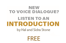 Voice Dialogue Introduction